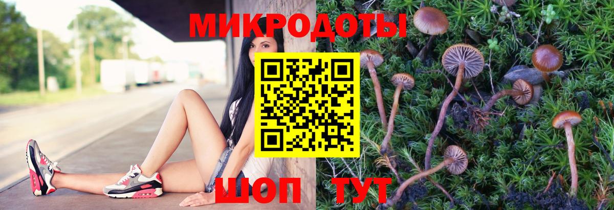 Галлюциногенные грибы Cubensis Электрогорск