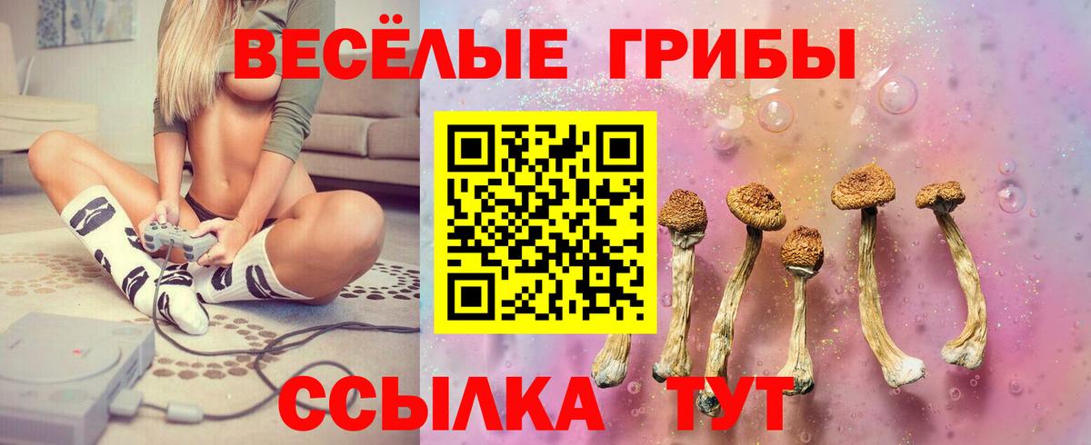 Псилоцибиновые грибы Psilocybe  Вход с VPN  Электрогорск 